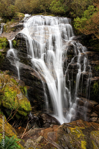Fototapeta Naklejka Na Ścianę i Meble -  Waterfall along the Milford Track on the South Island in New Zealand. Taken on Day Three of the hike.