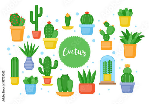 Cactus and succulents plants set