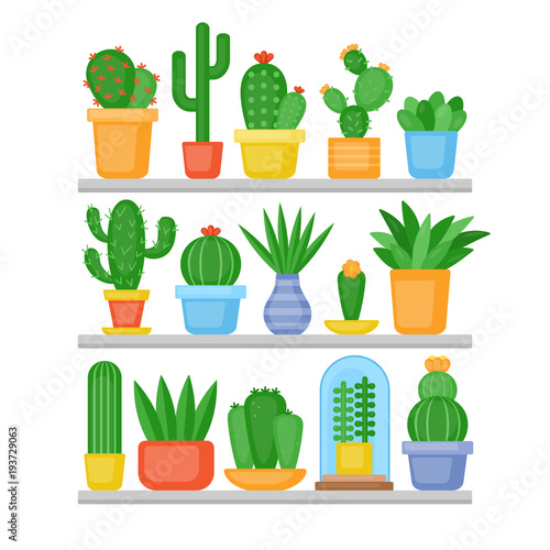 Cactus and succulents plants set