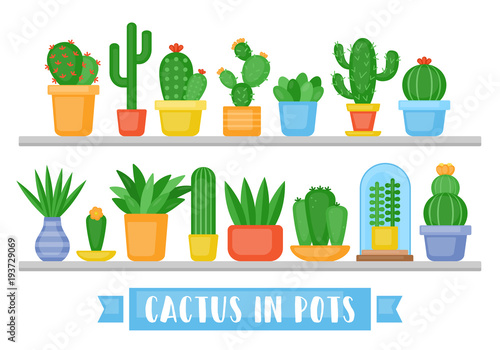 Cactus and succulents plants set