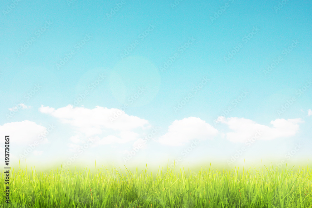 Obraz premium Gras im Frühling