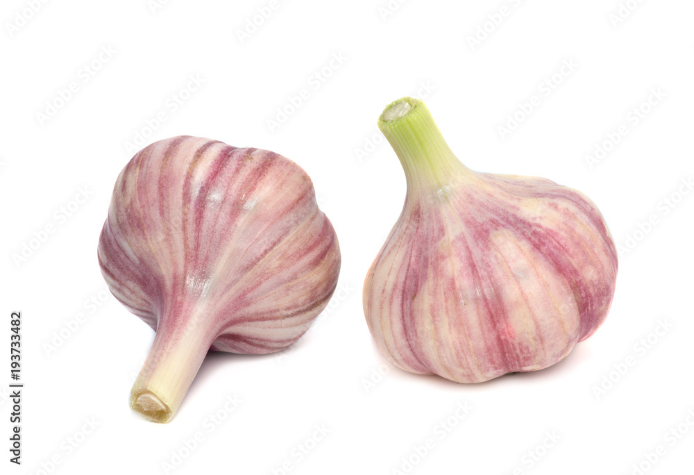 Fototapeta premium Garlic isolated on white background