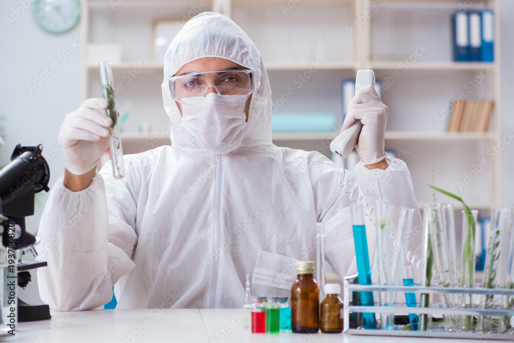 Biotechnology scientist chemist working in lab Biotechnology scientist chemist working in lab