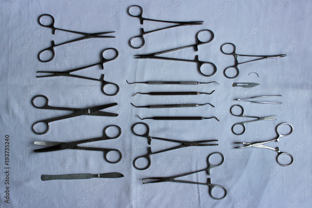 Fototapeta premium surgical instruments and tools including scalpels, forceps and tweezers arranged laid out on a blue fabric after washing to dry for a surgery. veterinary clinic