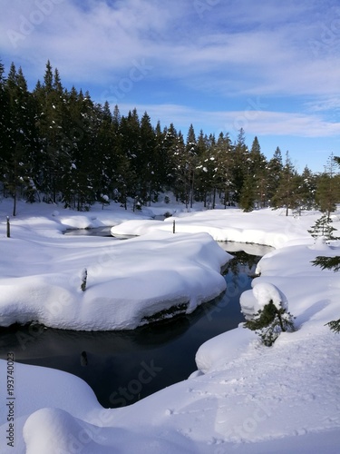Winter landscape  © ramund88