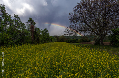Fairy tale scene and nature of Serbia.