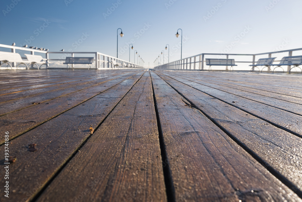 Pier during a sunny day - a closeup of wooden  boards, seagulls on a railing
