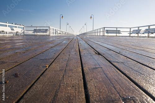 Pier during a sunny day - a closeup of wooden boards, seagulls on a railing