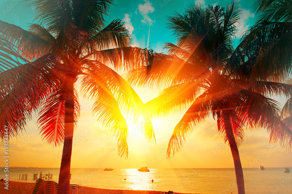 Fototapeta Zmierzch plaża z tropikalnym drzewkiem palmowym nad pięknym niebem. Palmy i piękne tło nieba. Turystyka, tło wakacje koncepcja. Palmy sylwetki na pomarańczowym słońcu