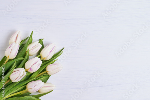 White tulips bouquet on white wooden background. Copy space  holiday background. 
