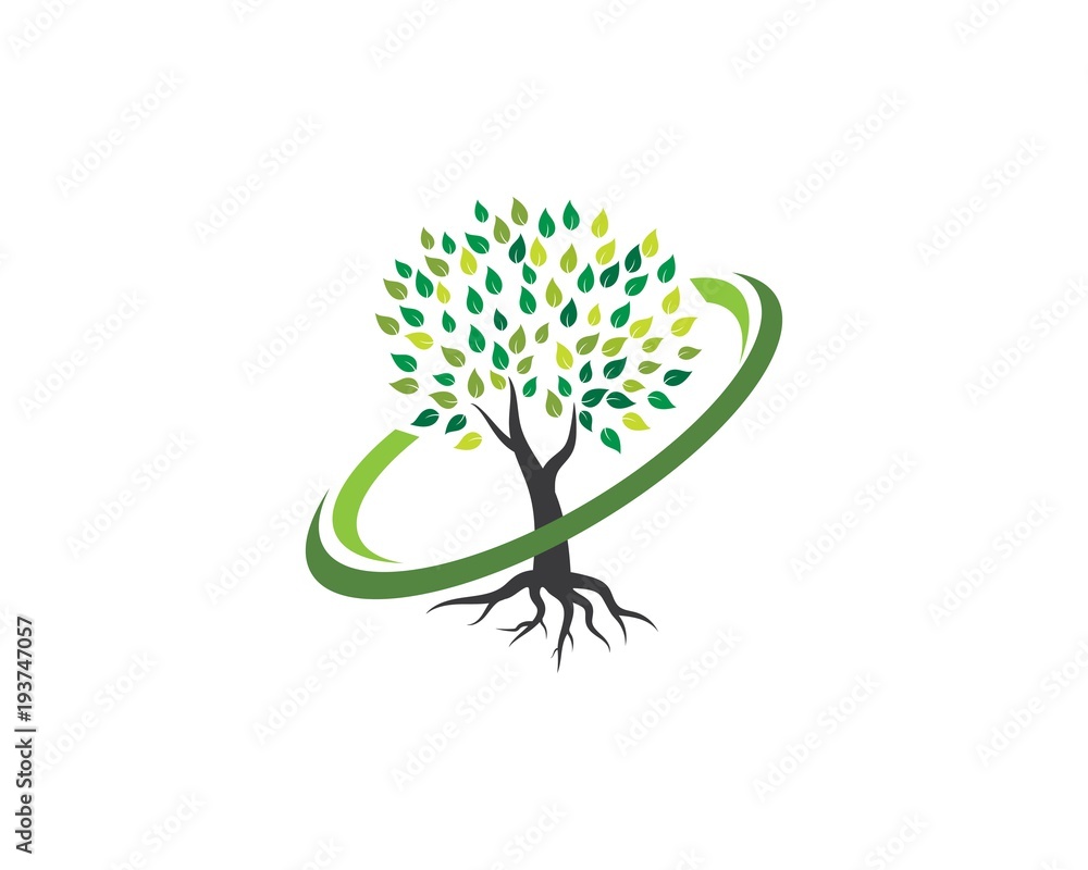 Obraz premium Tree icon logo template