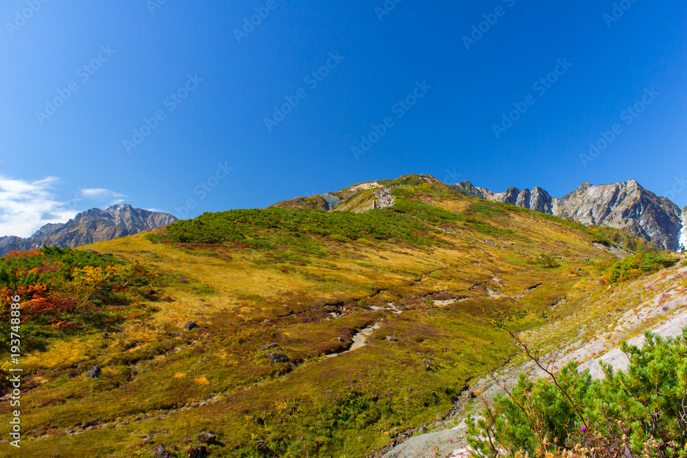 Naklejka premium 白馬八方尾根の紅葉／長野県白馬村