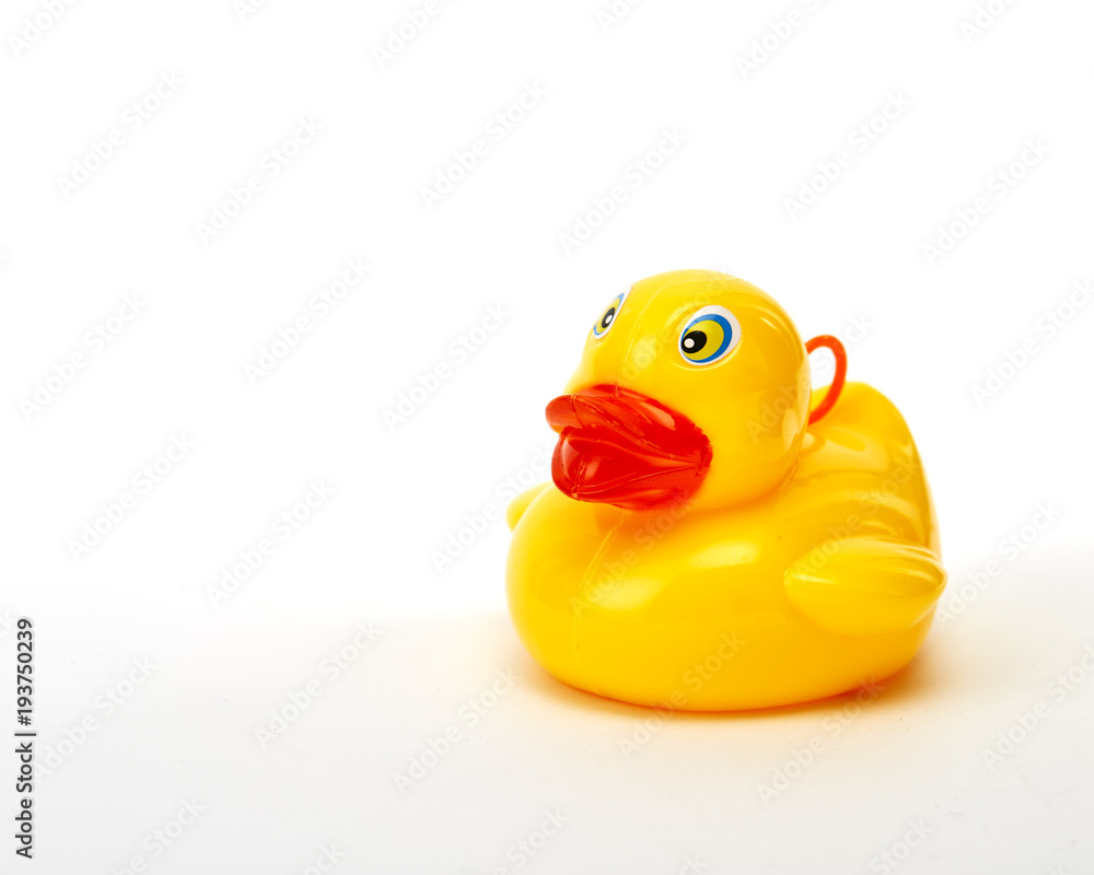 yellow bath duck on white background yellow bath duck on white background