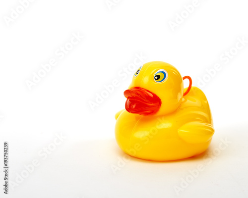 yellow bath duck on white background © 1981 Rustic Studio