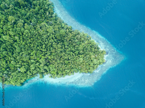 Aerial View of Fringing Reef and Island in Raja Ampat