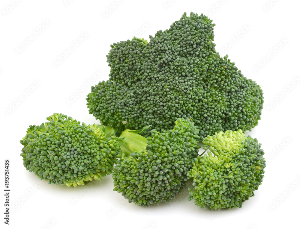 Isolated broccoli on white background