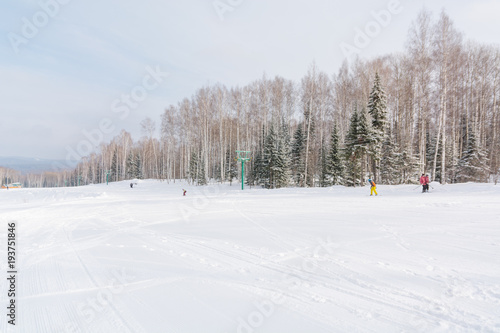 The ski slope. Ski slope in the forest. Beautiful winter forest in the taiga. Trees under the snow. Track for skiers.