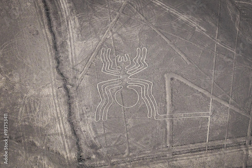 Nazca Lines - The Spider - Landmark of Peru.