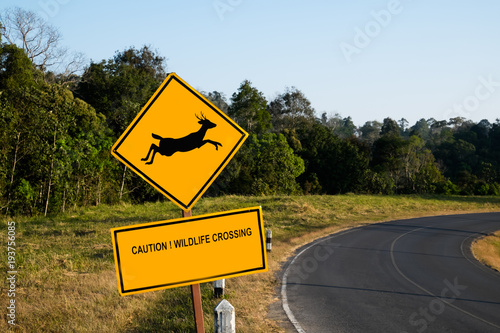 Beware deer crossing the road sign isolated on blue sky