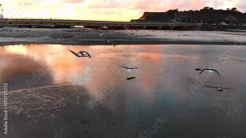 Birds flying over water at sunset