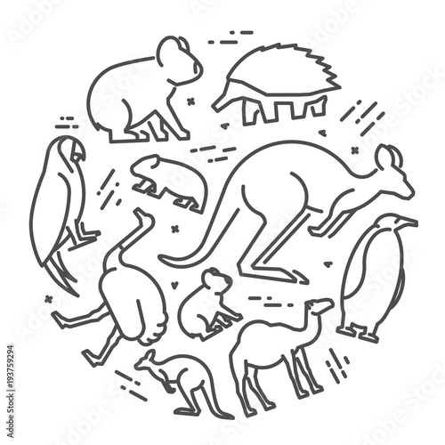 Vector line concept of australian animals