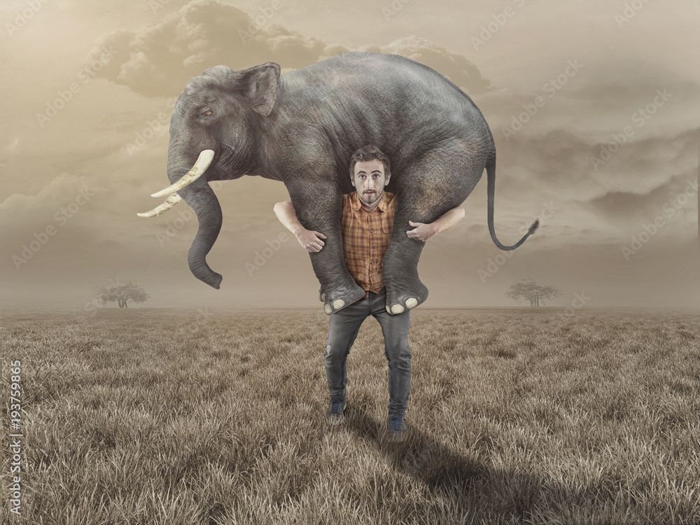 Man takes an elephant back - obrazy, fototapety, plakaty 