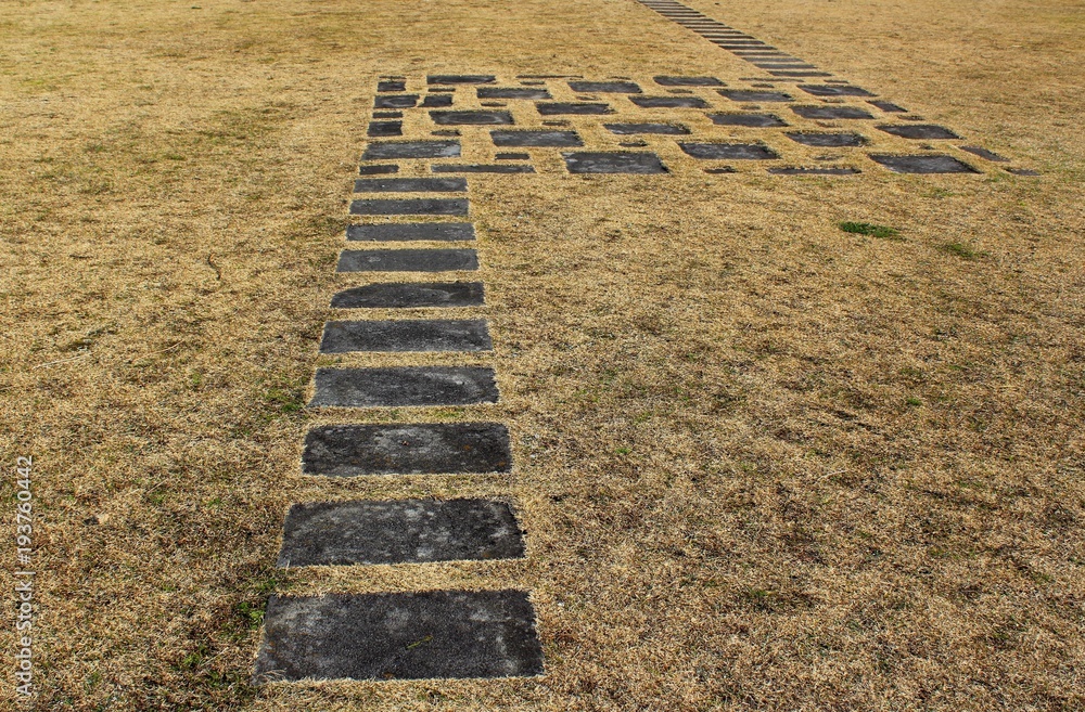Obraz premium Brick pathway on a lawn