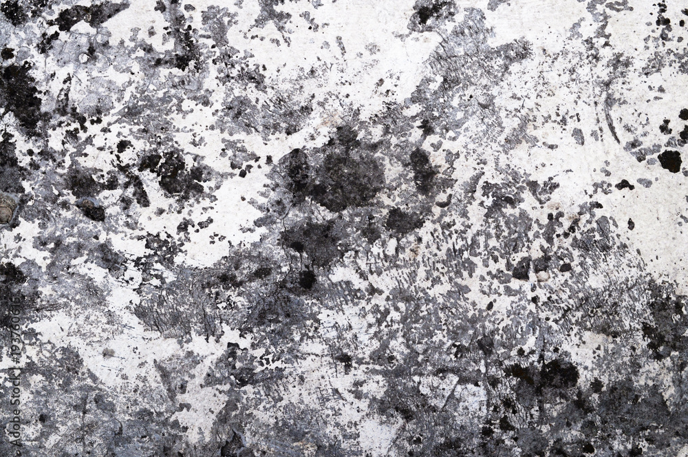 Fototapeta premium Grunge concrete wall