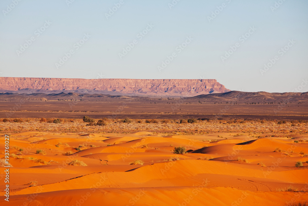 Fototapeta premium Sand desert