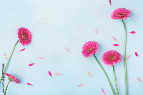 Beautiful spring background with pink flowers and petals. Floral frame. Flat lay style.