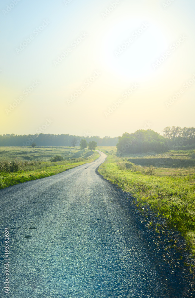 Naklejka premium Asphalt road disappearing into the distance.Sunny summer landscape.Green trees along the way.