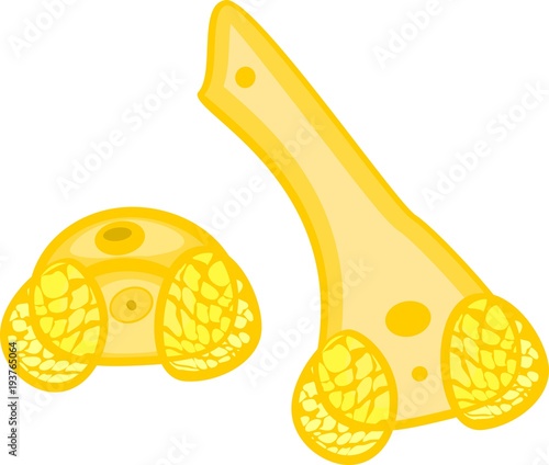 Pine Pollen grain with two sac wing, tube and generative cell