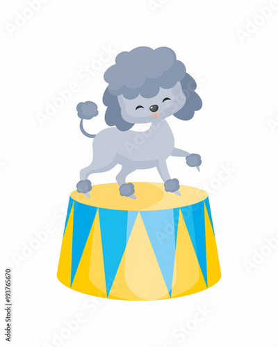 Vector image of a trained circus animal in cartoon style. Colorful illustrations isolated on white background.