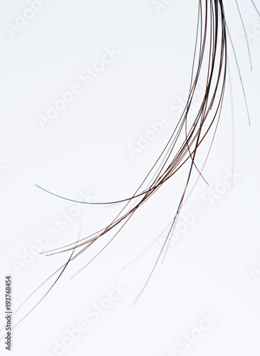 Macro of group hair strands photo