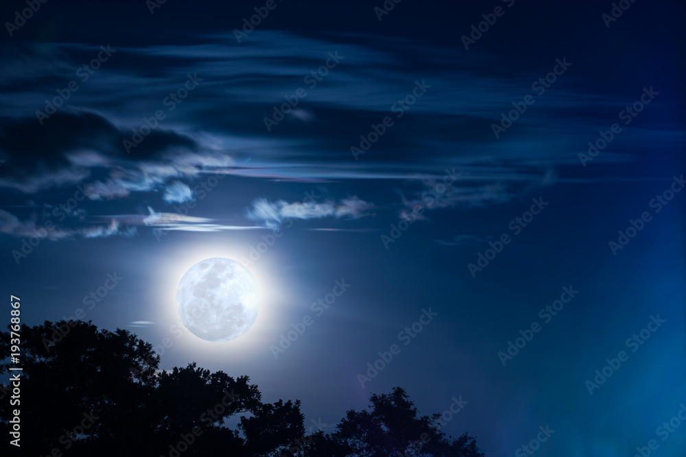 Super full moon with cloud and tree Super full moon with cloud and tree