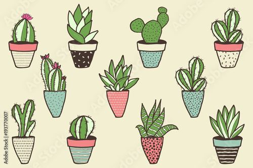 Set of different kinds of cactuses