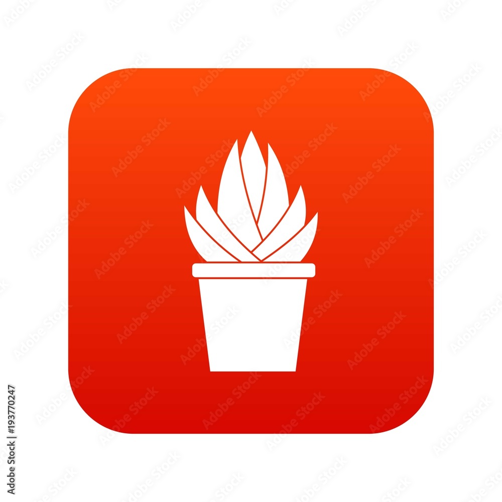 Aloe vera plant icon digital red Aloe vera plant icon digital red
