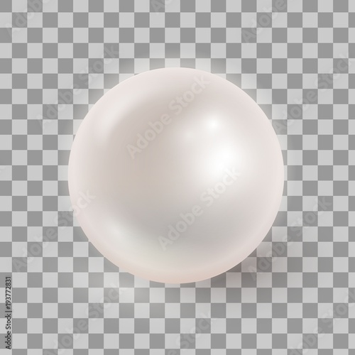 Vector illustration of realistic pearl isolated on transparen ba