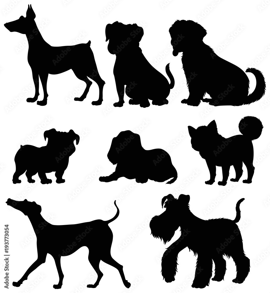 Different types of dogs in silhouette