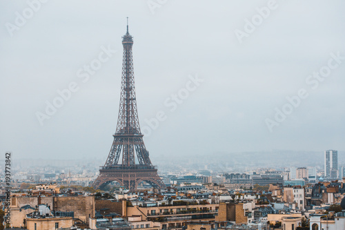 Eiffel tower in Paris - France. © Tarik GOK