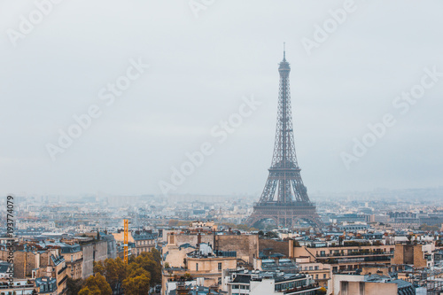 Fototapeta Naklejka Na Ścianę i Meble -  Eiffel tower in Paris - France.