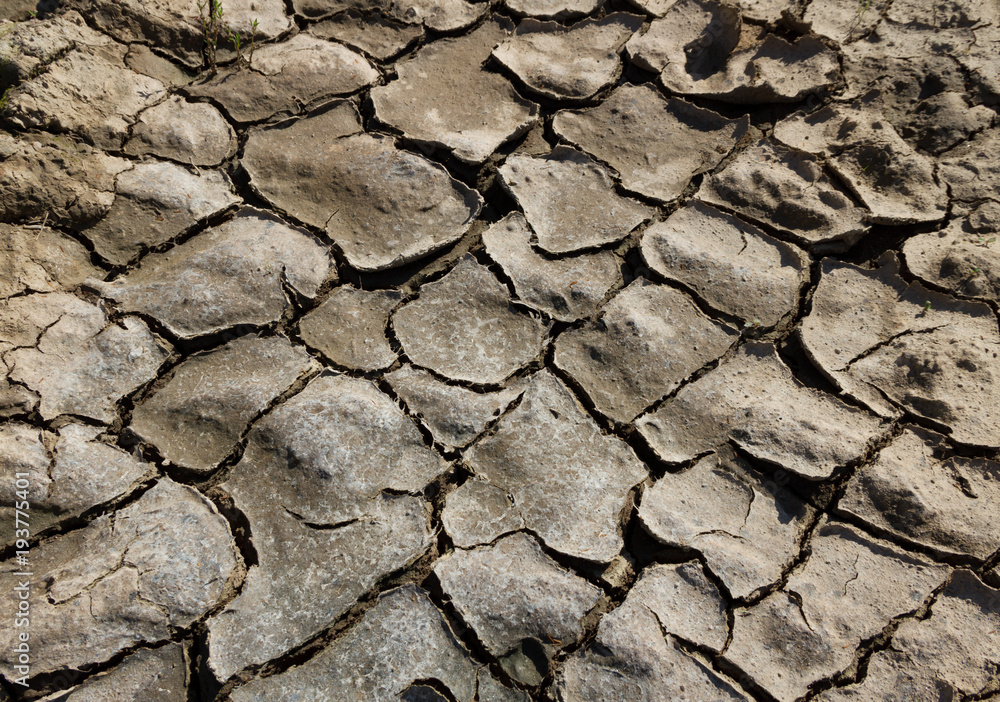 Cracked ground on a field.
