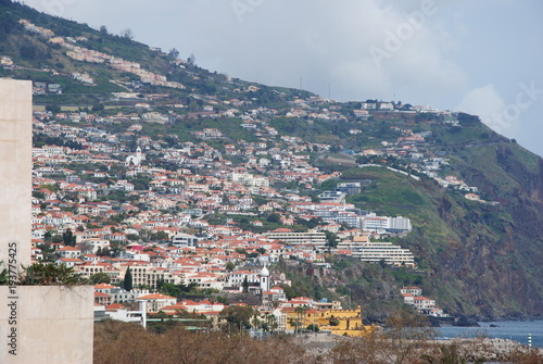 Madeira, Blumen, Atlantik, Funchal © Antje