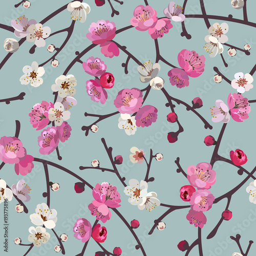   Seamless pattern with blooming sakura branches. Cherry blossoms floral background