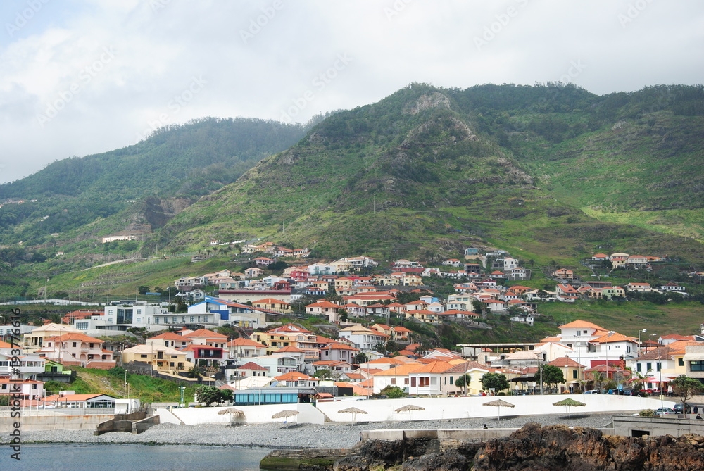 Madeira, Blumen, Atlantik, Funchal