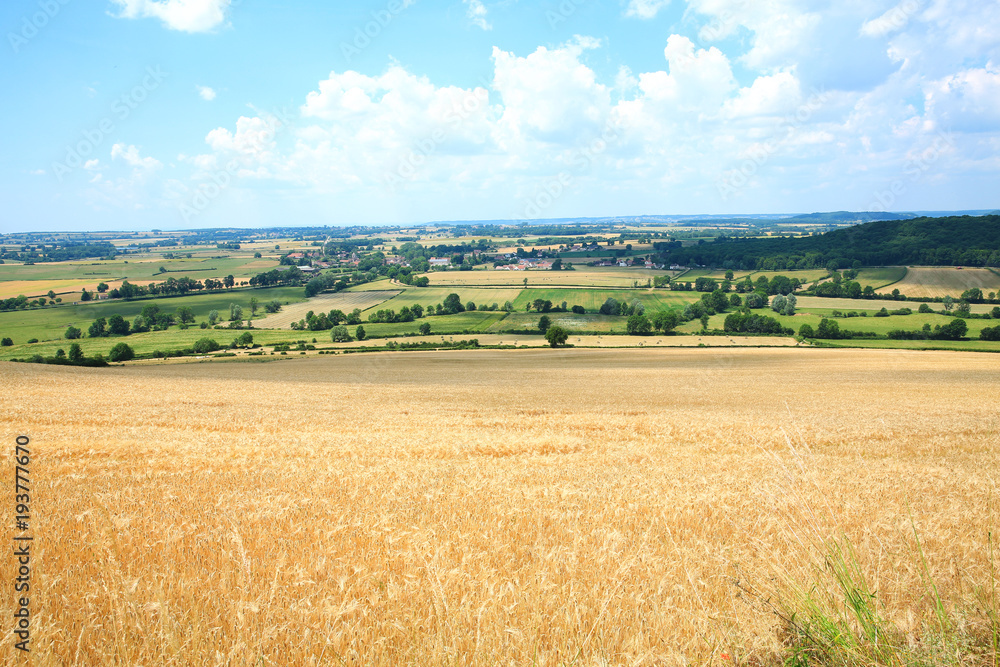 Idyllic countryside near Châteauneuf in Burgundy, France