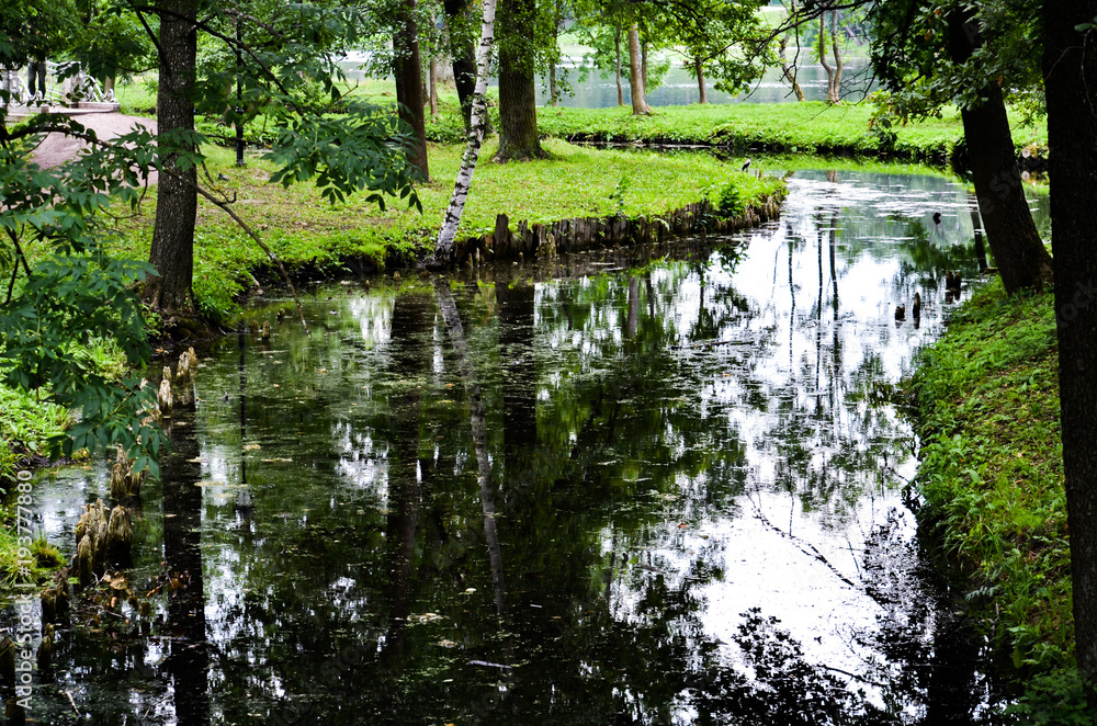 river river