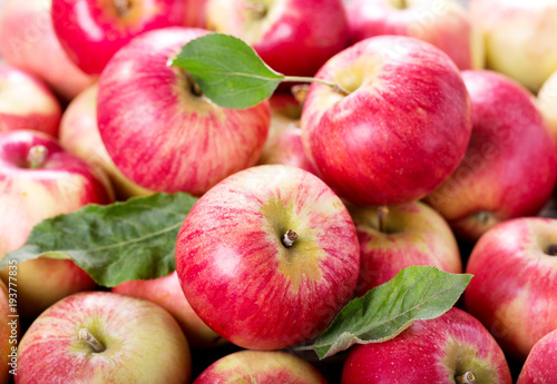 fresh red apples with leaves