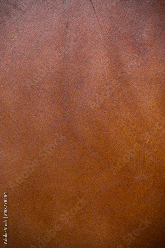 Genuine full grain leather background