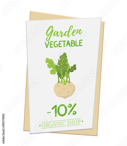 Vector kohlrabi poster, banner for discount, sale. Organic plant. Cartoon flat style